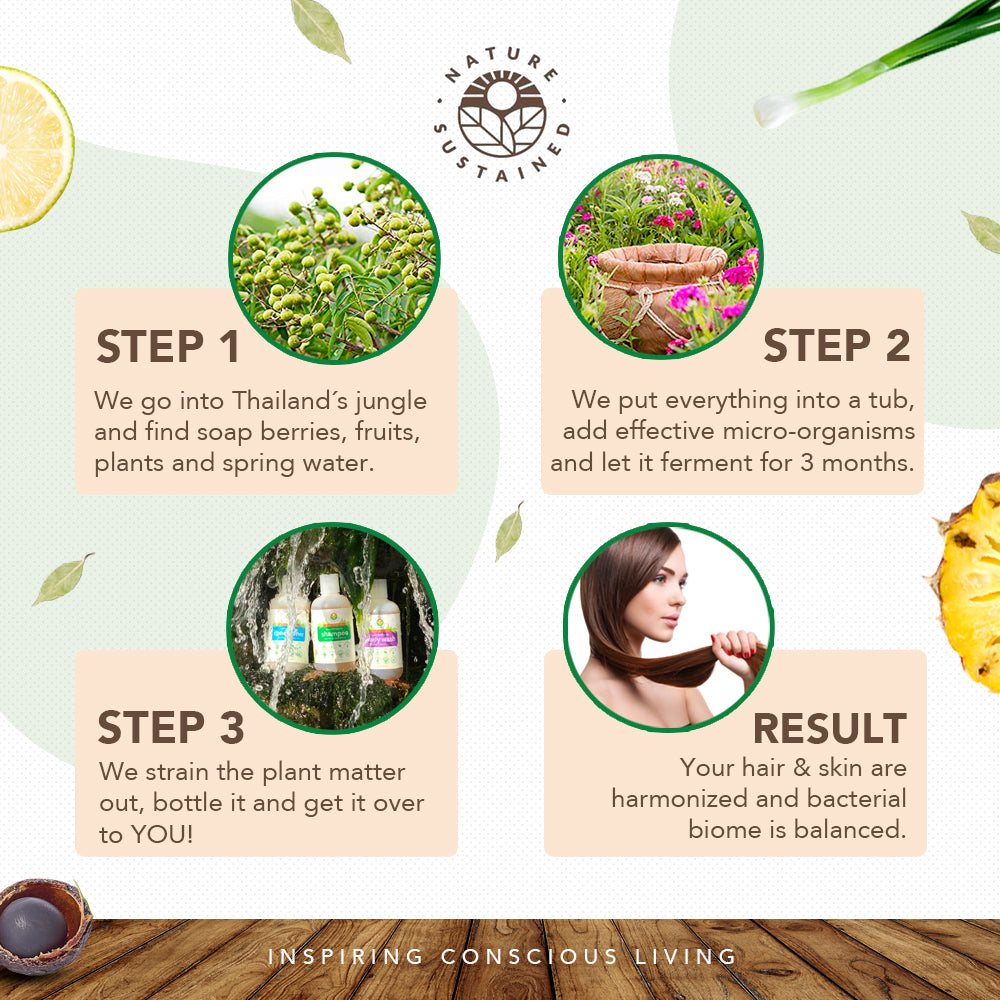 Infographic of Nature Sustained production steps