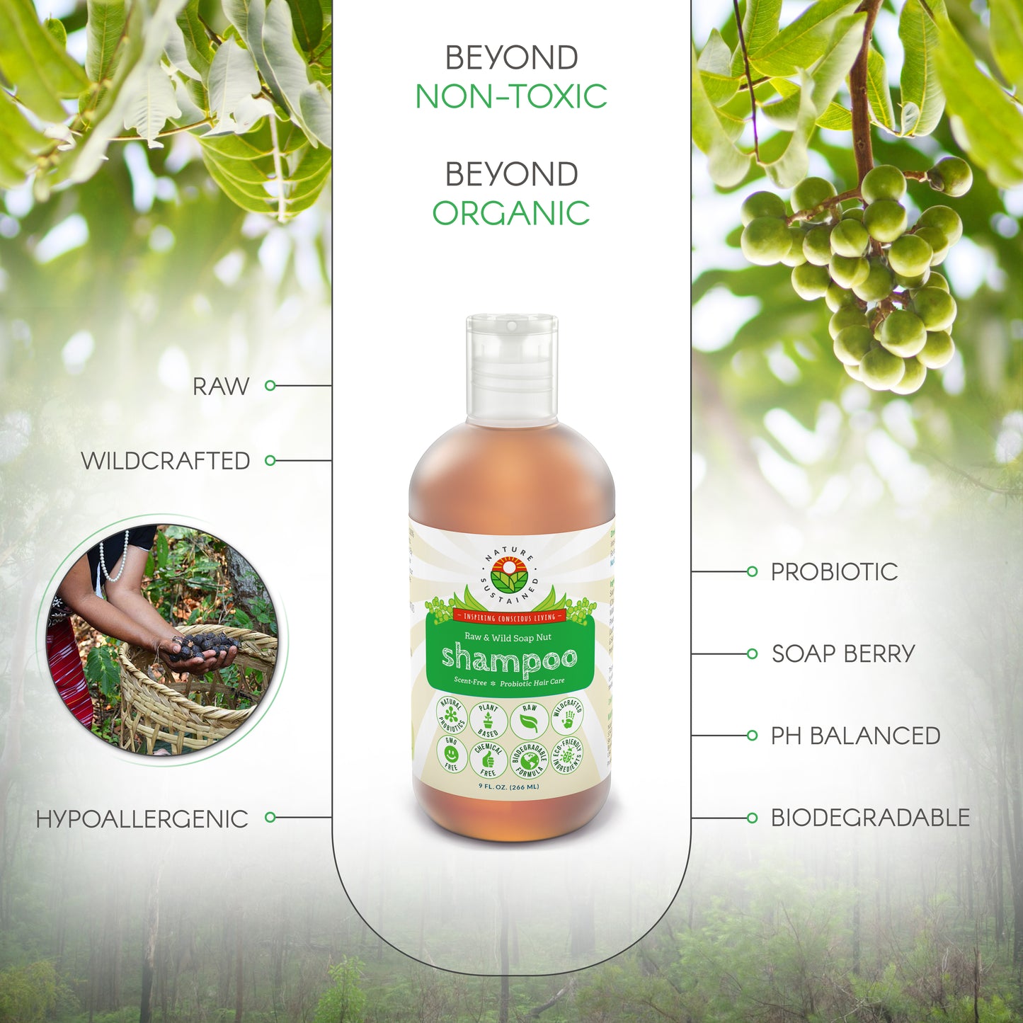 Natural Soapnut Shampoo - Organic, Raw, Probiotic, Vegan