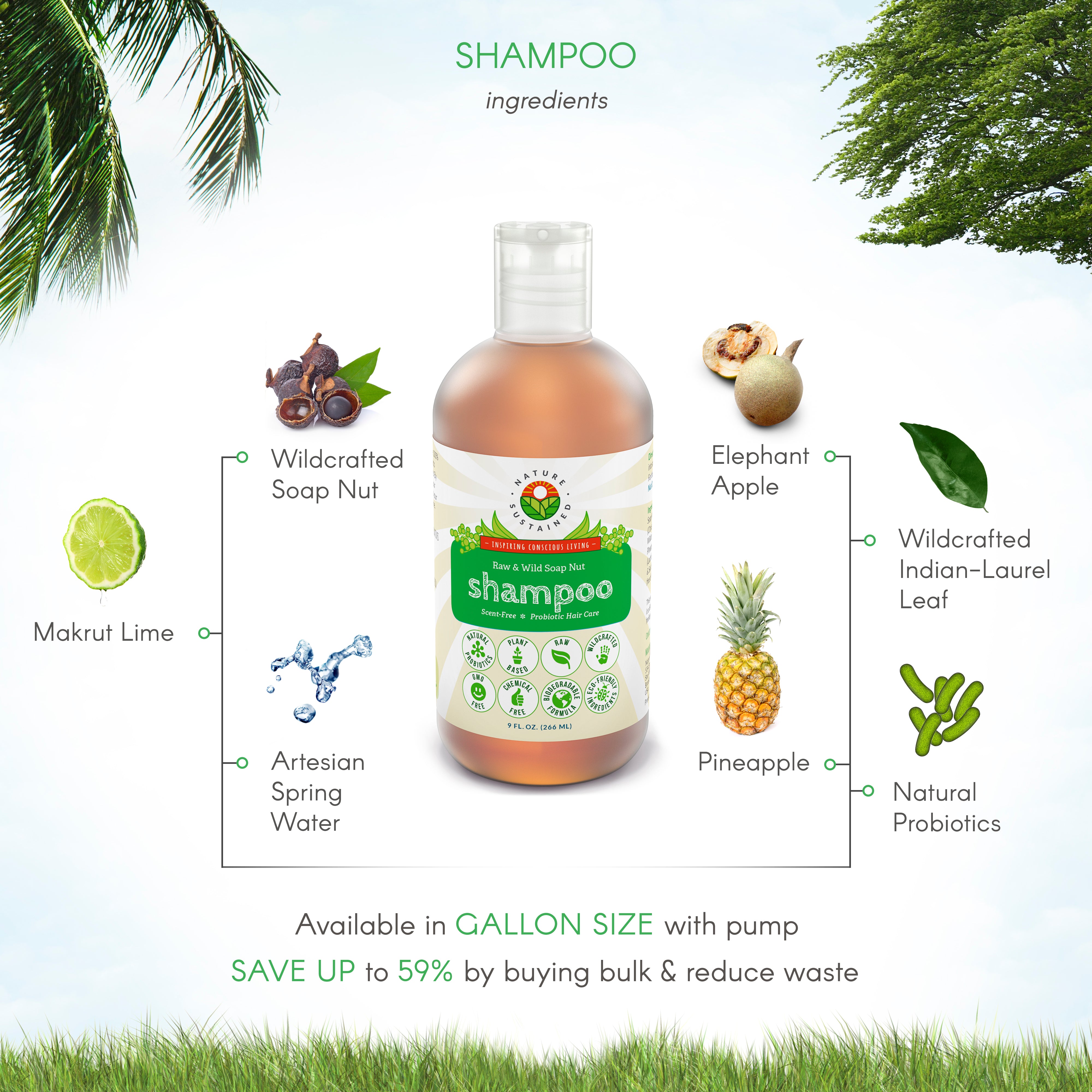 Natural Soapnut Shampoo - Organic, Raw, Probiotic, Vegan - 9 fl oz