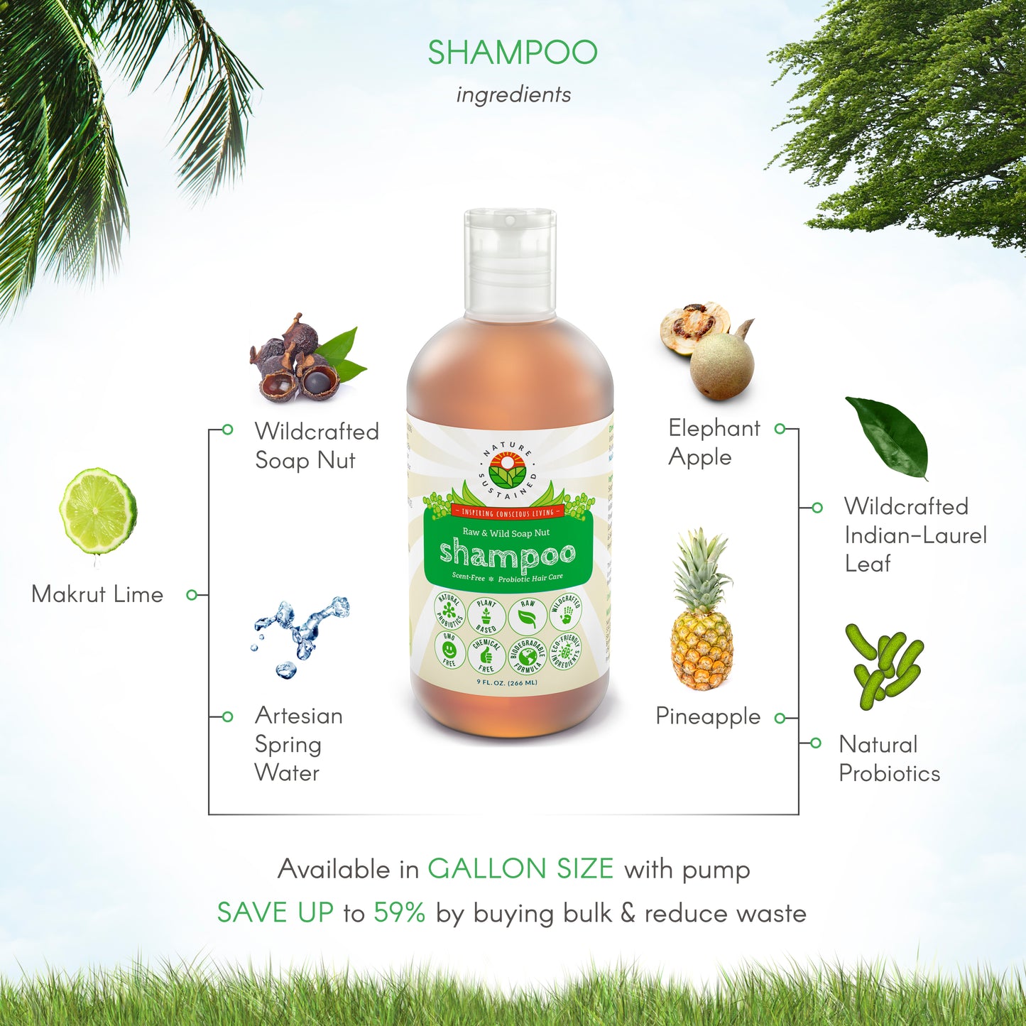 Natural Soapnut Shampoo - Organic, Raw, Probiotic, Vegan