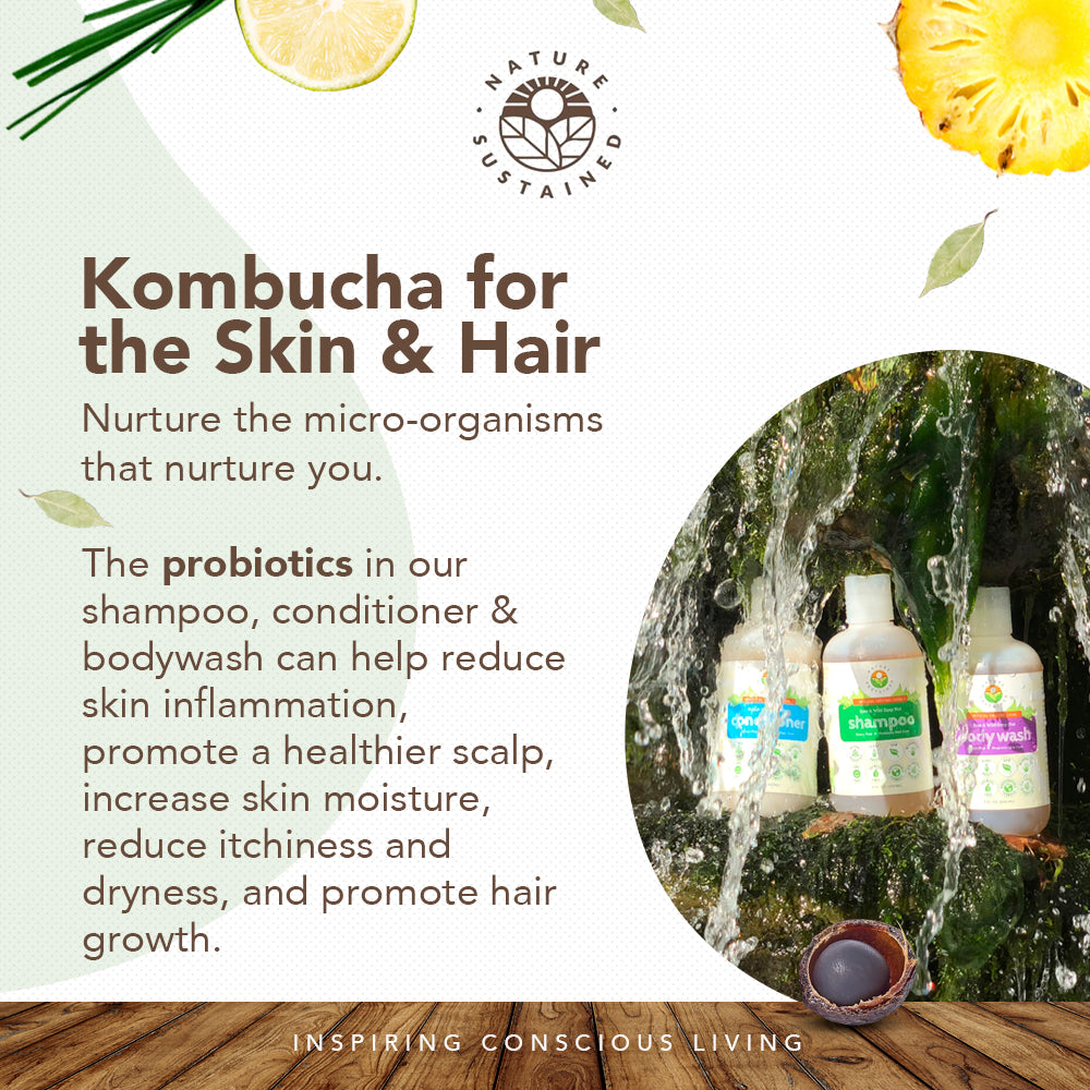 Infographic of Nature Sustained Bundles detailing probiotics.