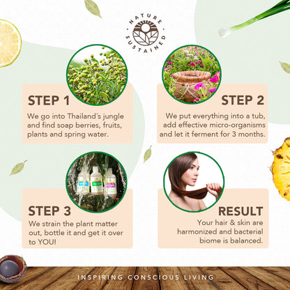Infographic of Nature Sustained production steps