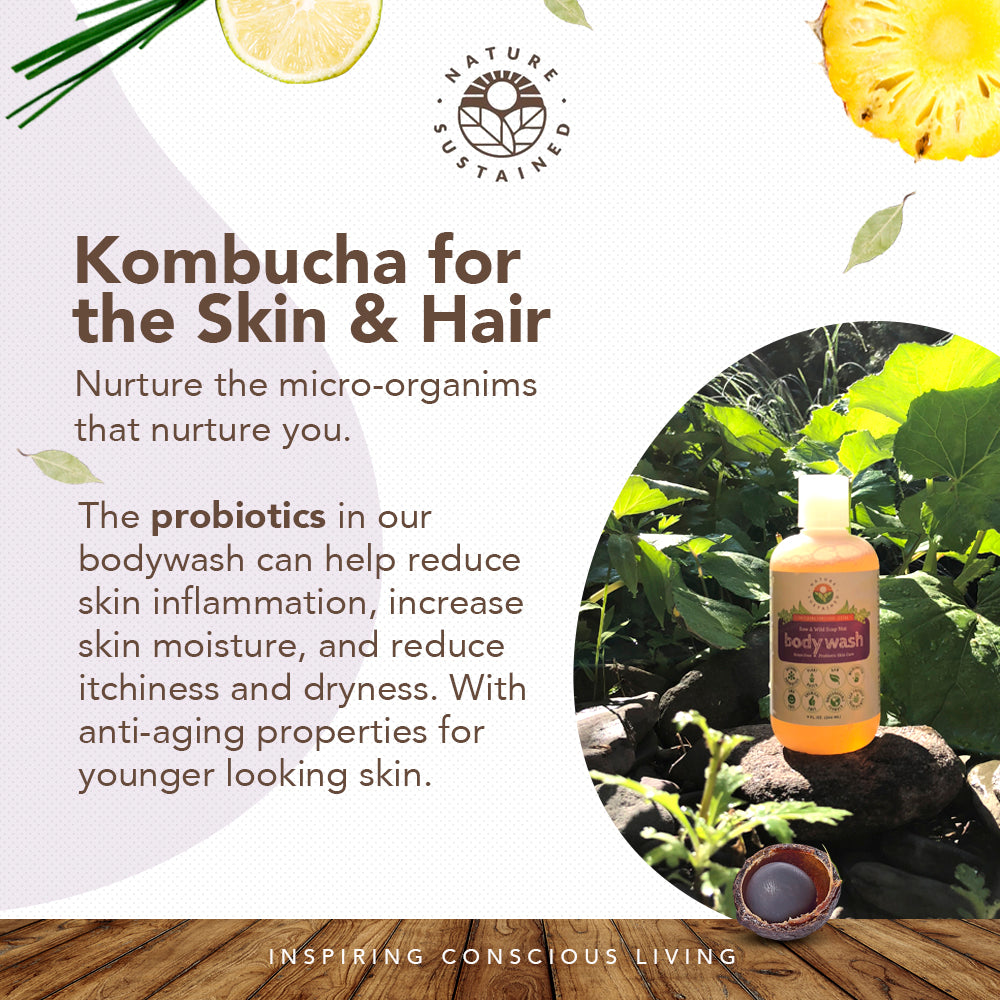 Infographic detailing probiotics in Nature Sustained Raw Organic Soapberry Body Wash