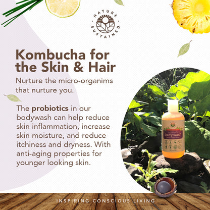 Infographic detailing probiotics in Nature Sustained Raw Organic Soapberry Body Wash