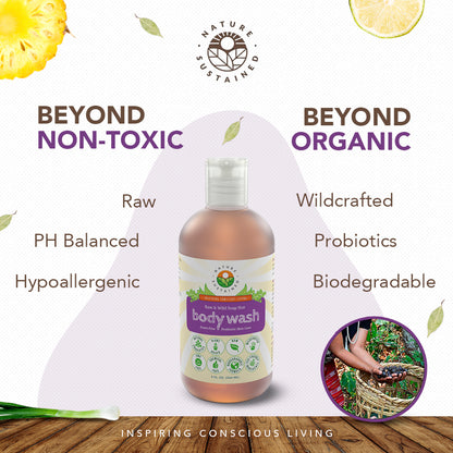 Infographic detailing non-toxic and organic qualities of Nature Sustained Raw Organic Soapberry Body Wash
