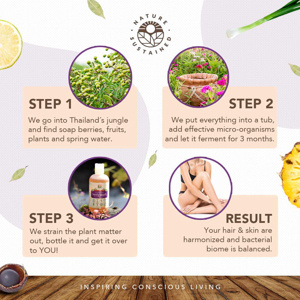 Infographic detailing sustainable production steps of Nature Sustained Raw Organic Soapberry Body Wash.