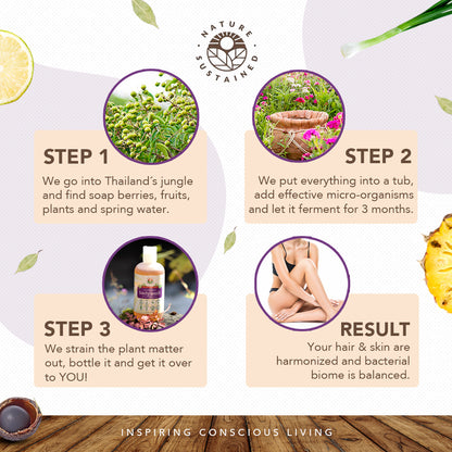 Infographic detailing sustainable production steps of Nature Sustained Raw Organic Soapberry Body Wash.