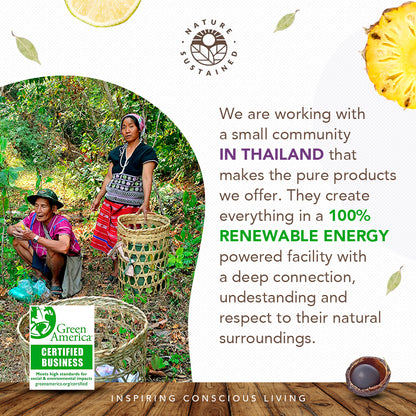 Infographic detailing sustainable qualities of Nature Sustained Raw Organic Soapberry Body Wash.