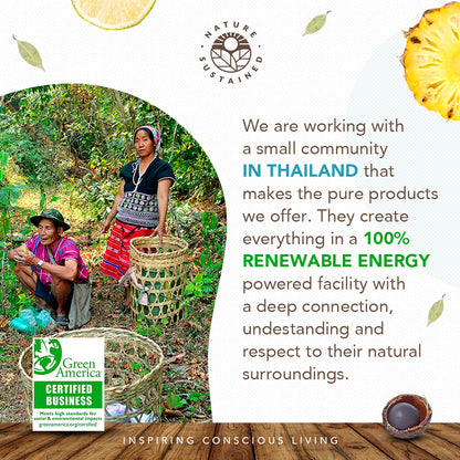 Infographic detailing the sustainable qualities of Nature Sustained Raw Organic Soapberry Conditioner.